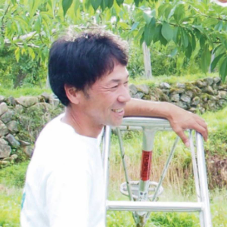 【もったいない！を食べよう】飛騨桃 黄金桃　1.5kg