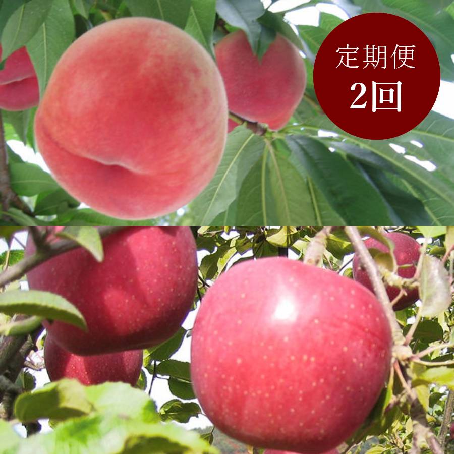 【もったいない！を食べよう】飛騨産桃（品種おまかせ）＆りんご（品種おまかせ）2回定期便
