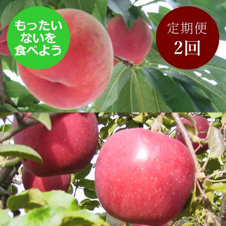 【もったいない！を食べよう】飛騨産桃（品種おまかせ）＆りんご（品種おまかせ）2回定期便