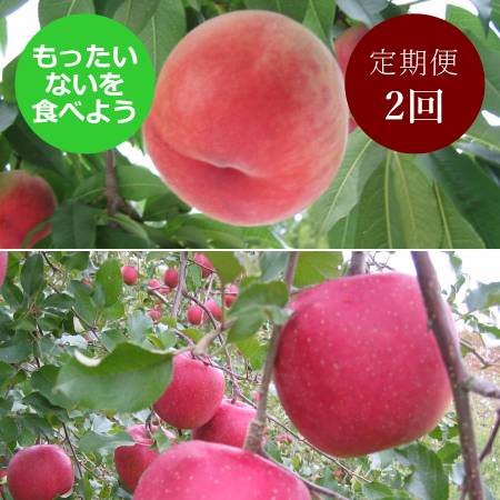 【もったいない！を食べよう】飛騨産桃（品種おまかせ）＆りんご（ふじ）2回定期便