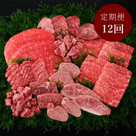＜丸小本店＞「飛騨牛」A5等級『ヒレ・シャトーブリアン』&赤身【12ヵ月定期便】