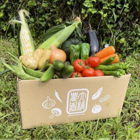 ＜大橋農園＞“朝採れ“「旬の野菜セット」12品目２～４人用