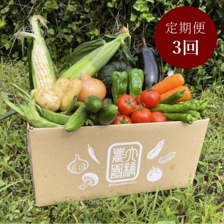 ＜大橋農園＞“朝採れ“「旬の野菜セット」12品目２～４人用【3ヵ月定期便】