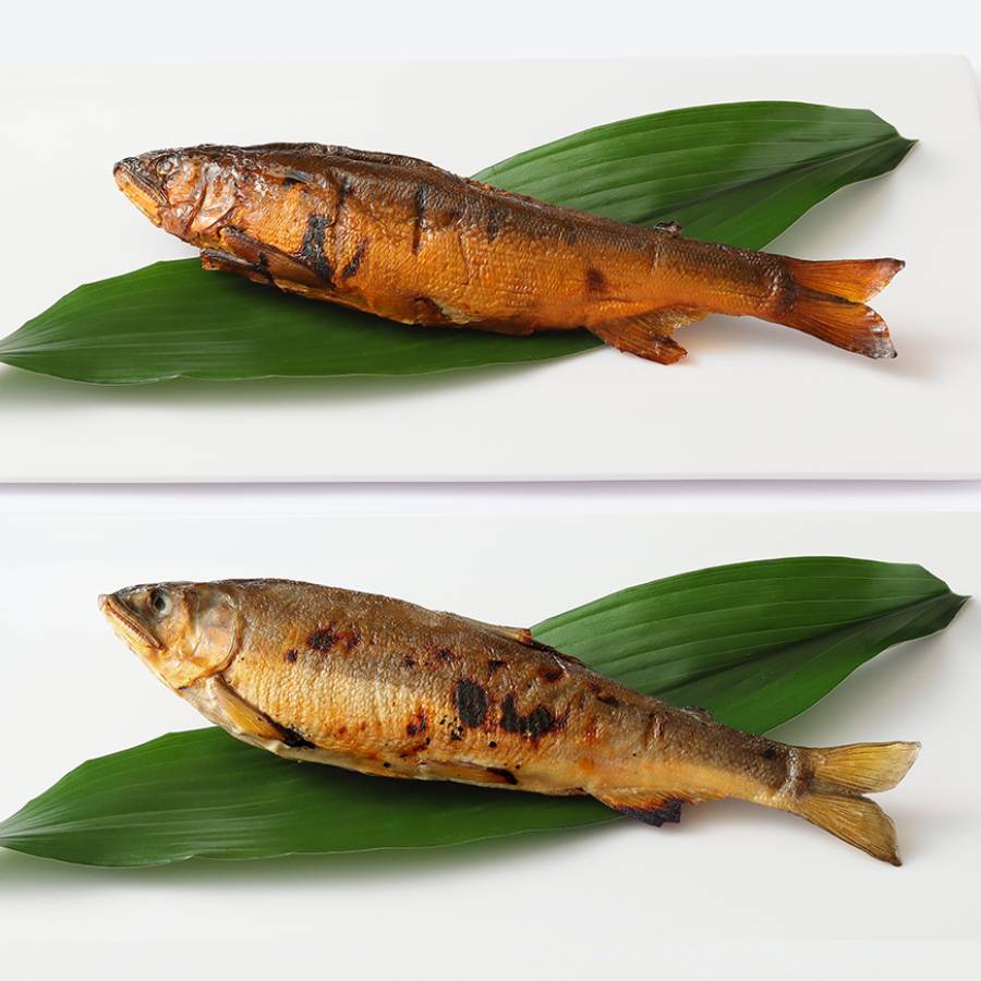 ＜美濃養魚場＞大「鮎」2種セット（塩焼き・鮎めんたい）各2尾（計4尾）