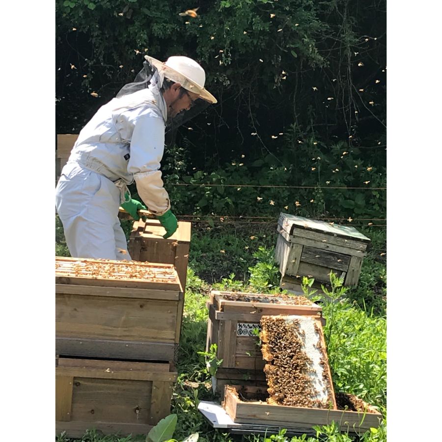 隔月届く【3回定期便】＜はち工房こうけつ＞恵那「蓮華」蜂蜜300ｇ