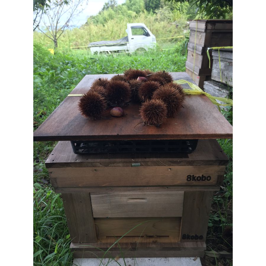 ＜はち工房こうけつ＞恵那「蓮華&栗」蜂蜜各300ｇ（計600g）