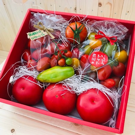 ＜石川農園＞トマトの宝石箱2kg