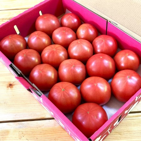 ＜石川農園＞大玉トマト4ｋｇ