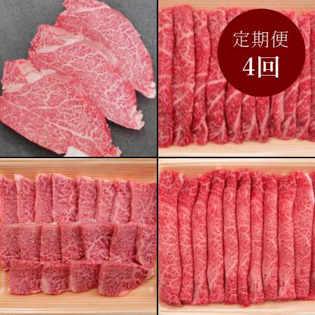 ＜飛騨牛 肉のひぐち＞「飛騨牛」A4等級以上『ヒレ＆希少赤身』【4ヵ月定期便】