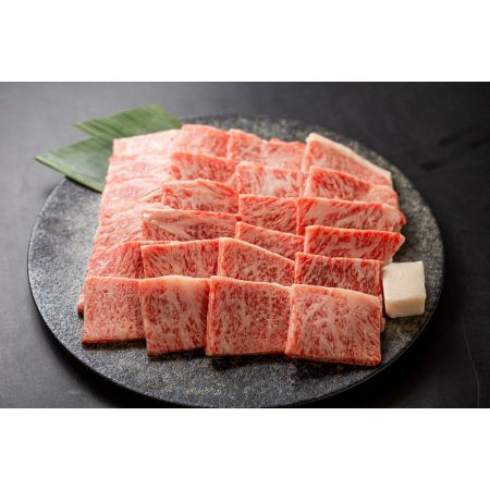 ＜肉の沖村＞A５等級「飛騨牛」焼き肉用（ロース）500g