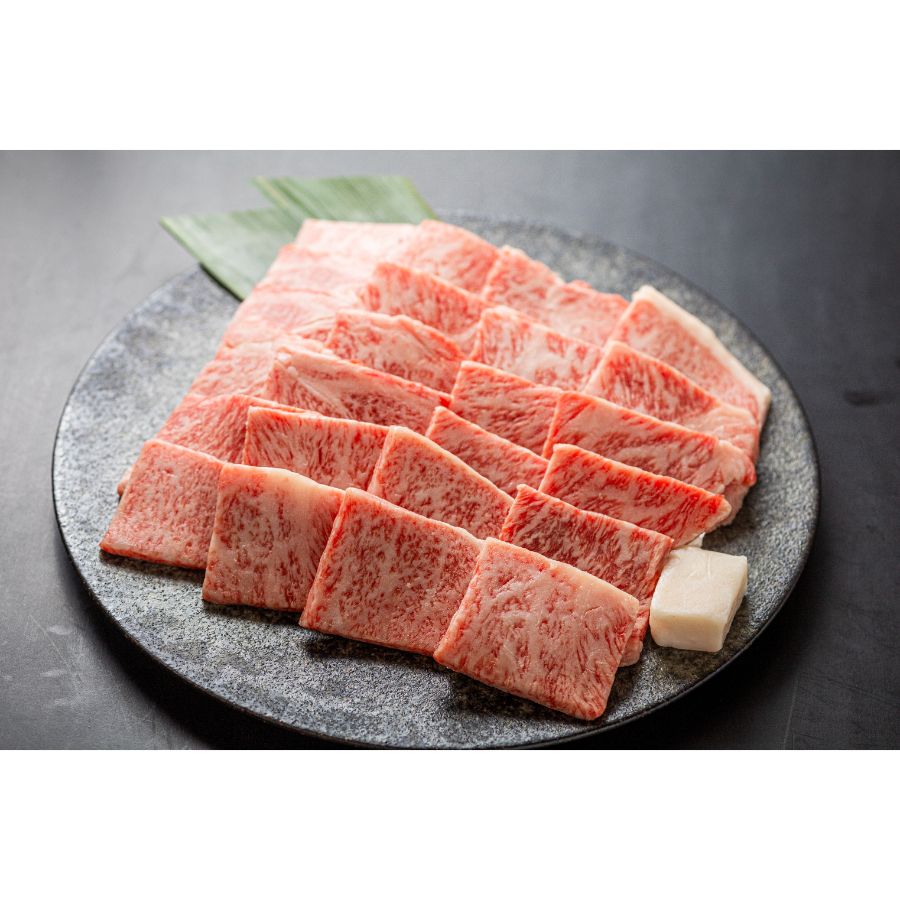 ＜肉の沖村＞A５等級「飛騨牛」焼き肉用（ロース）500g