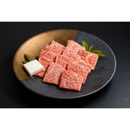 ＜肉の沖村＞A５等級「飛騨牛」赤身焼き肉用（ももorうで）500g