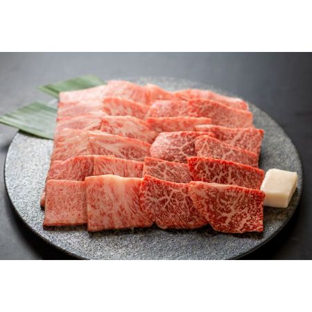 ＜肉の沖村＞A５等級「飛騨牛」焼き肉用2種（ロース・ももorうでももorうで）各250g（計500g）