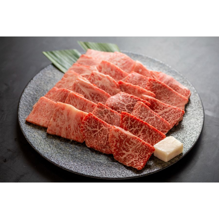 ＜肉の沖村＞A５等級「飛騨牛」焼き肉用2種（ロース・ももorうでももorうで）各250g（計500g）