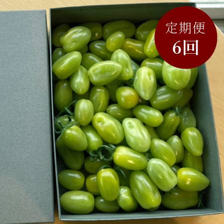 ＜細野ファーム＞「グリーンスピカ」800g【６ヵ月定期便】