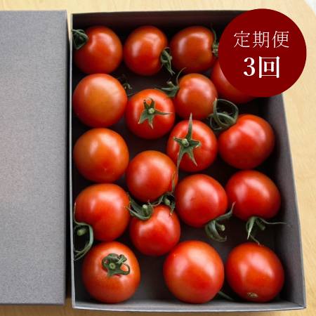 ＜細野ファーム＞「フルティカ」800g【３ヵ月定期便】