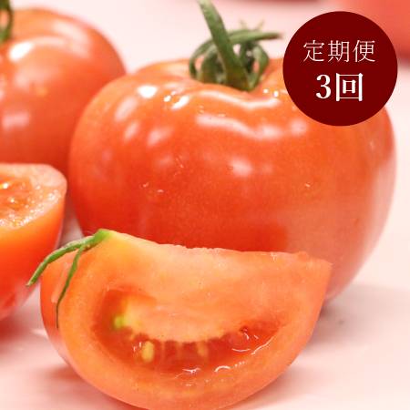 ＜細野ファーム＞大玉トマト2kg【３ヵ月定期便】