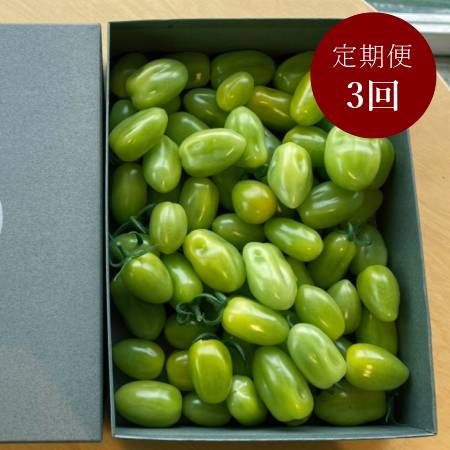 ＜細野ファーム＞「グリーンスピカ」2kg【３ヵ月定期便】