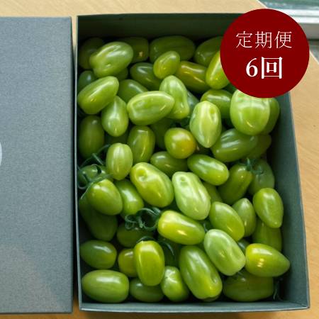 ＜細野ファーム＞「グリーンスピカ」2kg【６ヵ月定期便】