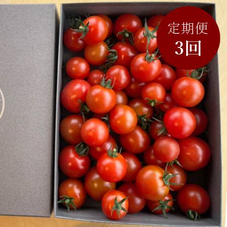＜細野ファーム＞完熟「ミニトマト」2kg【３ヵ月定期便】