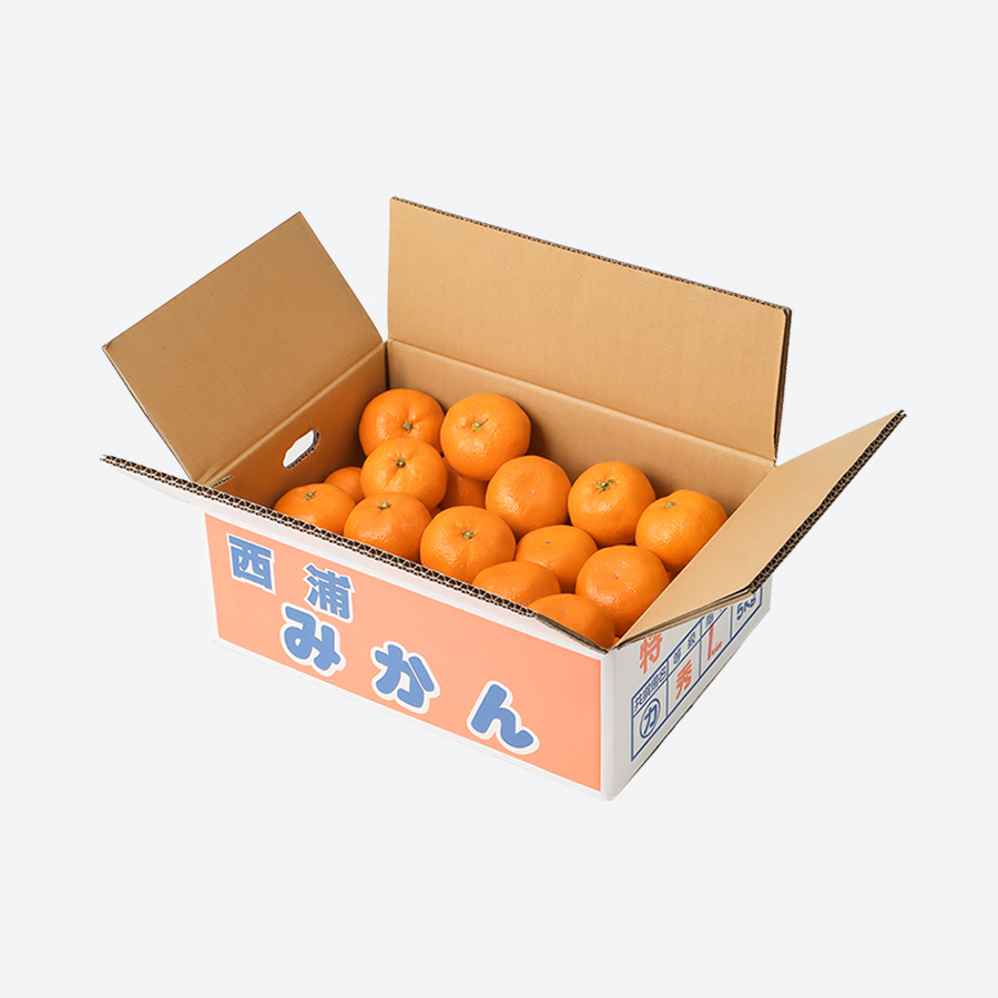 ＜マルカオレンジセンター＞青島みかん　5kg