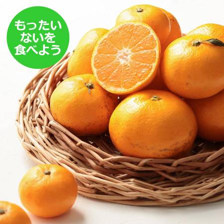 【もったいない！を食べよう】＜木負観光みかん園＞由良（ゆら）みかん10kg