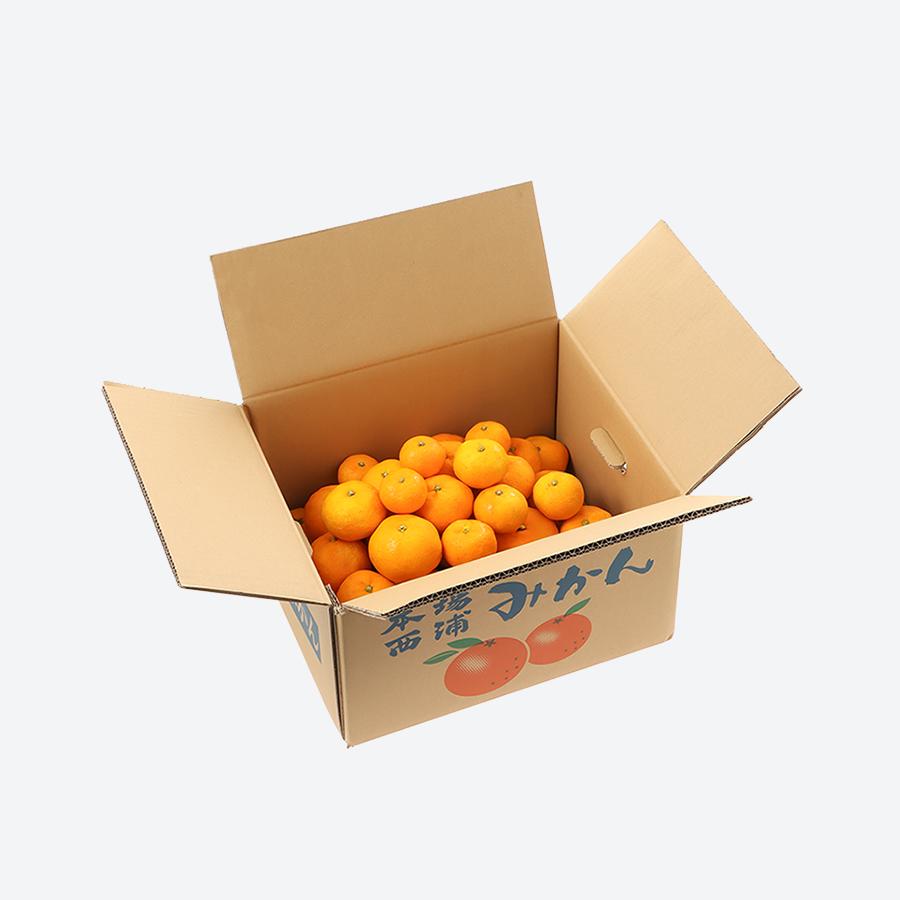 <木負観光みかん園>青島みかん3kg 贈答用