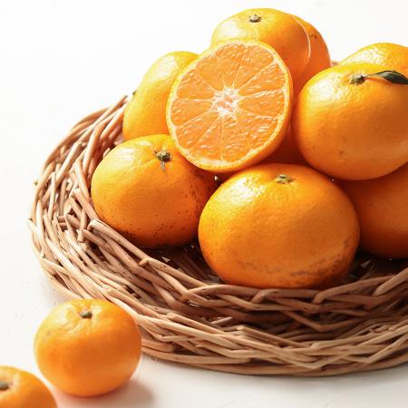 ＜木負観光みかん園＞青島みかん3kg　贈答用