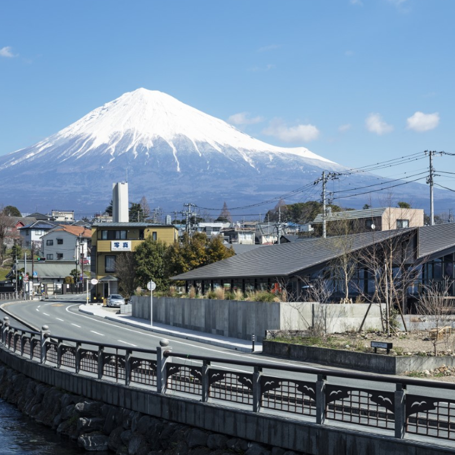 ＜Mt.Fuji Brewing（マウントフジブリューイング）＞「マウントフジブリューイング」柑子富士（こうじふじ）350ml×24缶