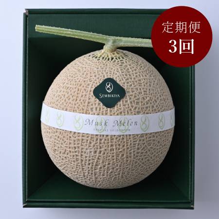 ＜日本橋 千疋屋総本店＞マスクメロン1.3kg【定期便3カ月】