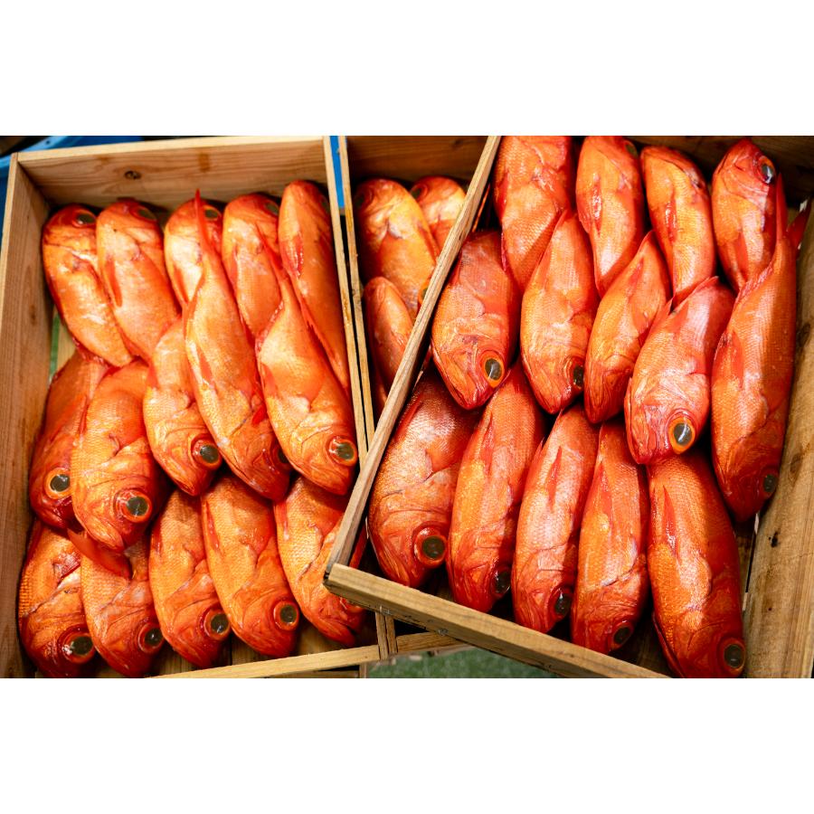 【定期便3ケ月】＜伊豆下田　小木曽商店＞地金目鯛の煮付け