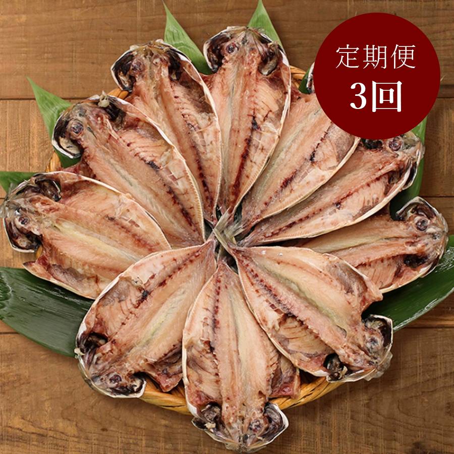 【定期便3ケ月】＜伊豆下田　小木曽商店＞干物詰合せ【3】（真あじ干物）