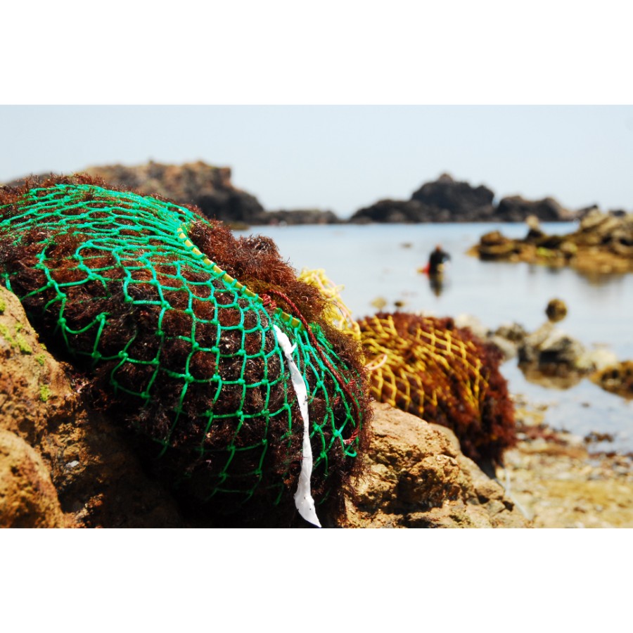 ＜西林商店＞伊豆下田須崎産ところてん　無添加8個セット