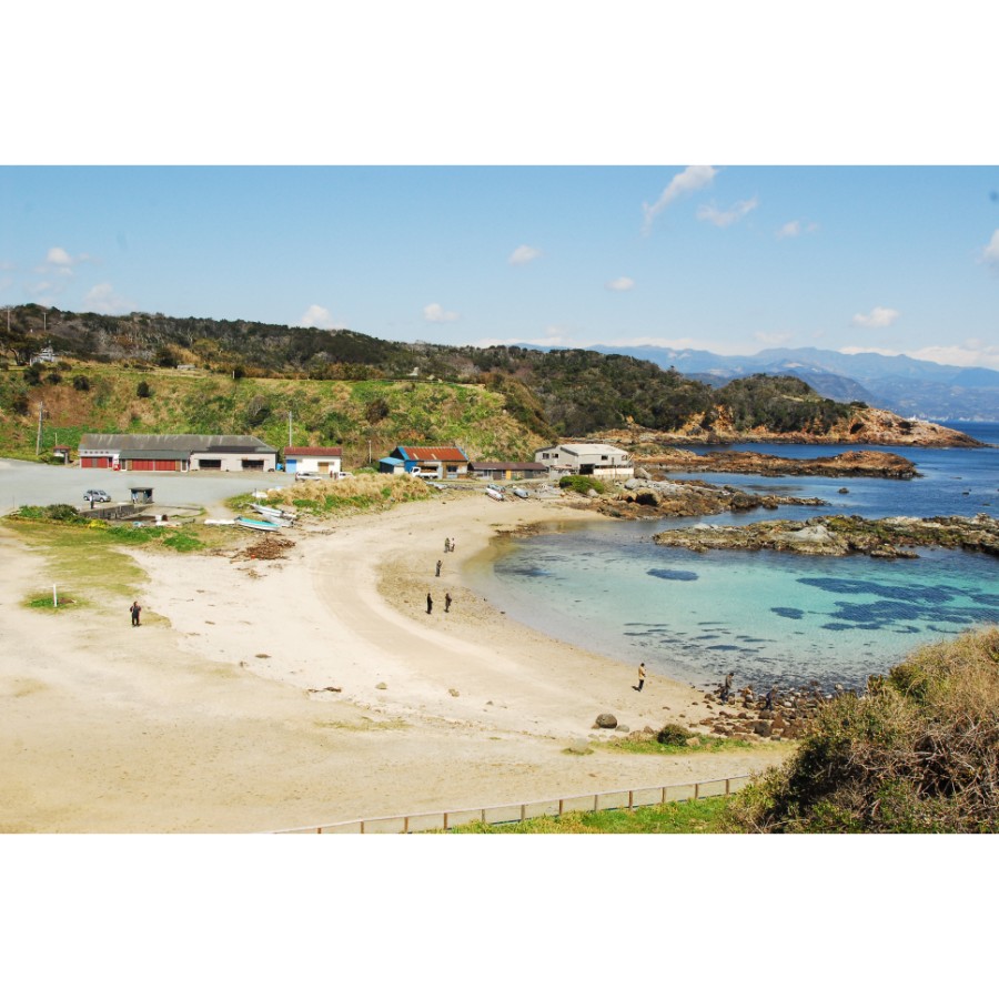 ＜西林商店＞伊豆下田須崎産ところてん　毎日のところてん36個