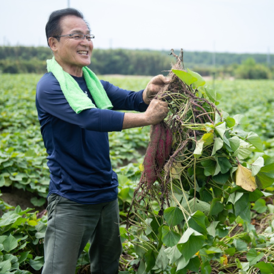 ＜まるととづか＞ふるさとの味　干しいもセット　べにはるか角切り160g×3、平切り160g×3、いずみ160g×2