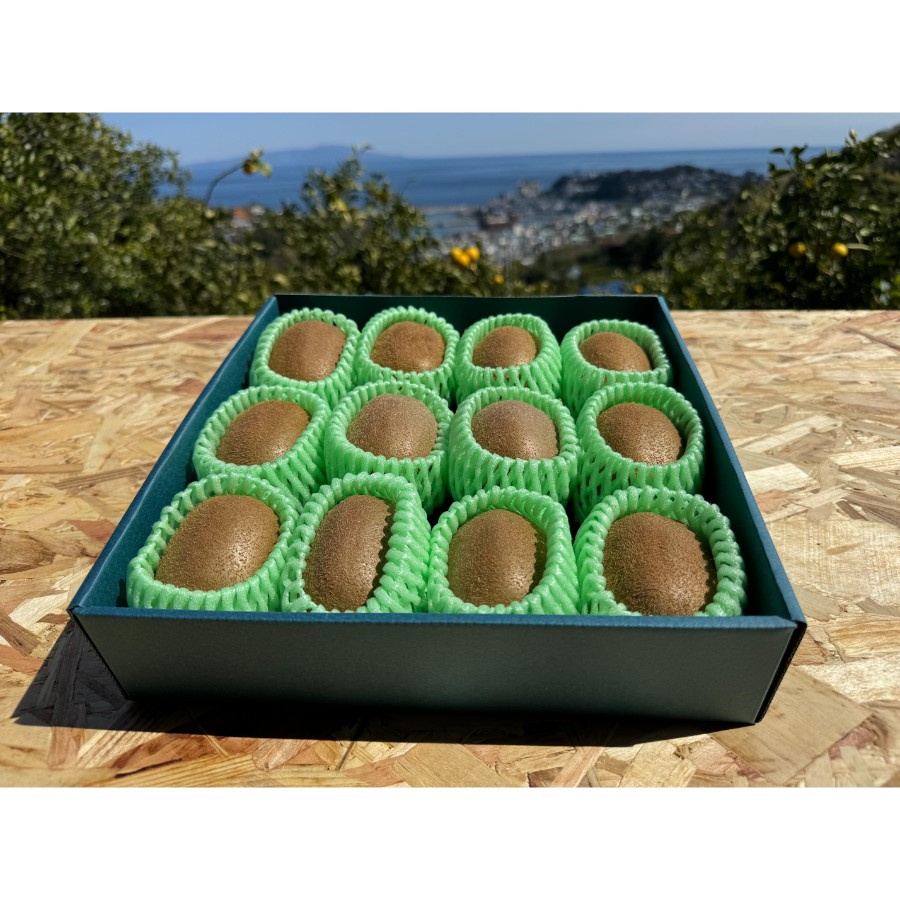 ＜佐藤農園＞キウイフルーツ（ヘイワード種）12玉