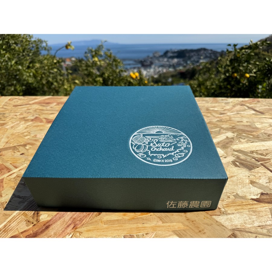 ＜佐藤農園＞キウイフルーツ（ヘイワード種）12玉