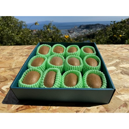 ＜佐藤農園＞キウイフルーツ（ヘイワード種）12玉