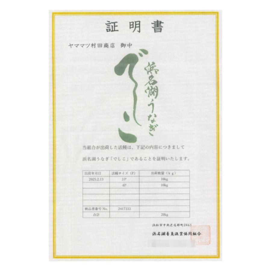 <ヤママツ村田商店>ブランド鰻【でしこ】×ヤママツ村田商店 炭火白焼き(長焼きサイズ)2尾200g×2