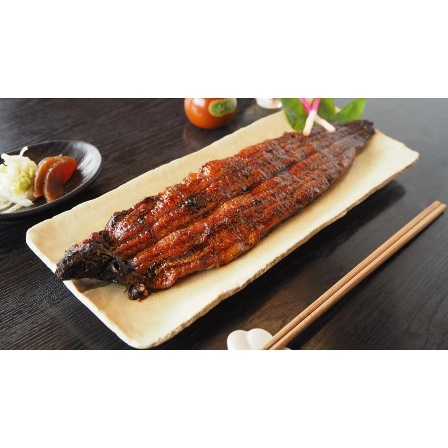＜兼光水産＞三河一色産鰻”炭火手焼き”「蒲焼」（大）2尾・K337