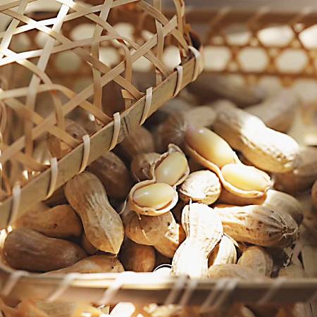 ＜杉中園芸＞”塩茹で専用”生落花生「郷の香」300gx4（計1.2kg）・S093