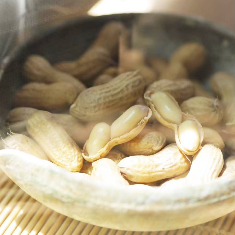 ＜杉中園芸＞”塩茹で専用”生落花生「郷の香」300gx4（計1.2kg）・S093