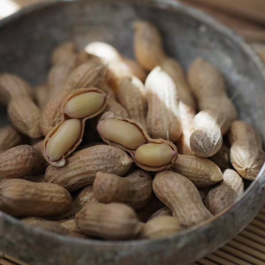 ＜杉中園芸＞”塩茹で専用”生落花生「郷の香」300gx4（計1.2kg）・S093
