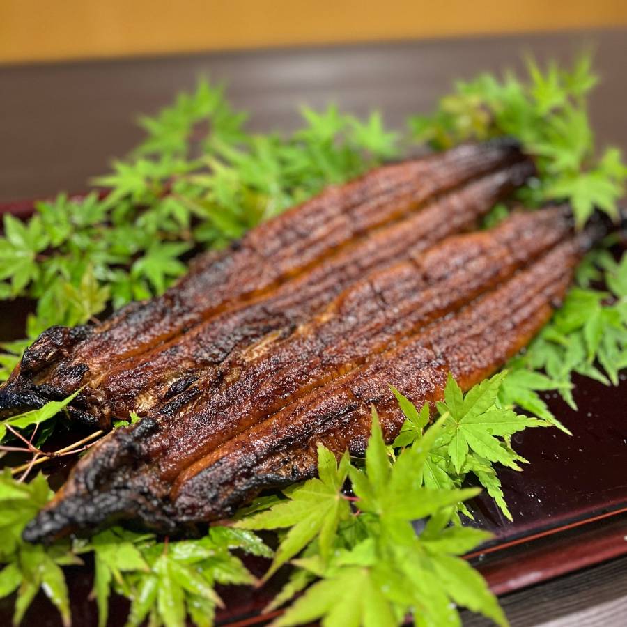 ＜うなぎ割烹　みかわ三水亭＞三河産鰻 炭火手焼き「蒲焼」2尾【6ヵ月定期便】・M127