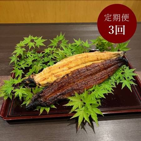 ＜うなぎ割烹　みかわ三水亭＞三河産鰻 炭火手焼き「蒲焼＆白焼き」各1尾（計2尾）【3ヵ月定期便】・M134