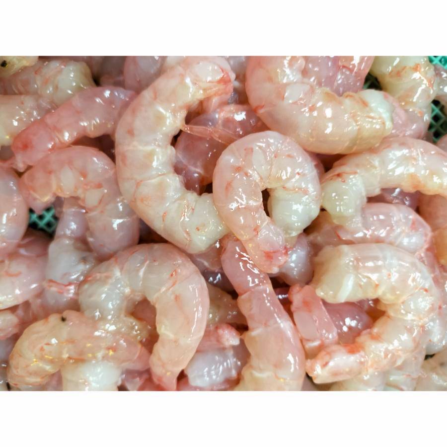 <星野水産>国産天然・無添加「むき海老」(ひげ長海老)200g×5(計1kg)【3ヵ月定期便】・H089