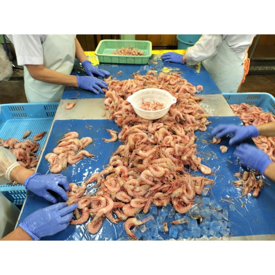 ＜星野水産＞国産天然・無添加「むき海老」（ひげ長海老）200g×5（計1kg）【6ヵ月定期便】・H090