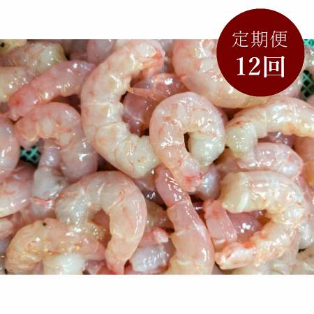 ＜星野水産＞国産天然・無添加「むき海老」（ひげ長海老）200g×5（計1kg）【12ヵ月定期便】・H091