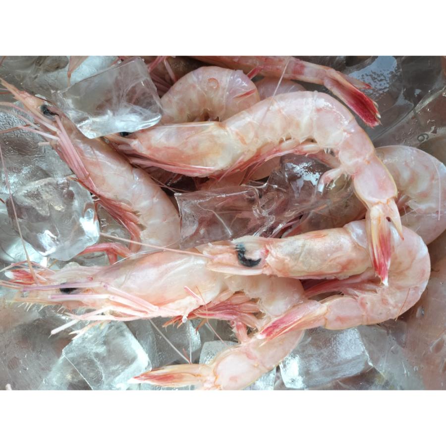 ＜星野水産＞国産天然・無添加「むき海老」（ひげ長海老）200g×5（計1kg）【12ヵ月定期便】・H091