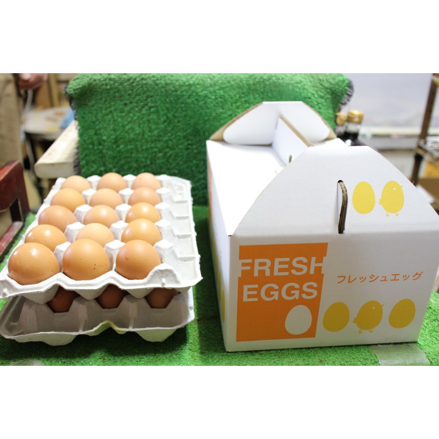 <山田養鶏>「赤玉元気卵」30個